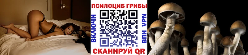 Галлюциногенные грибы Cubensis  Сретенск 